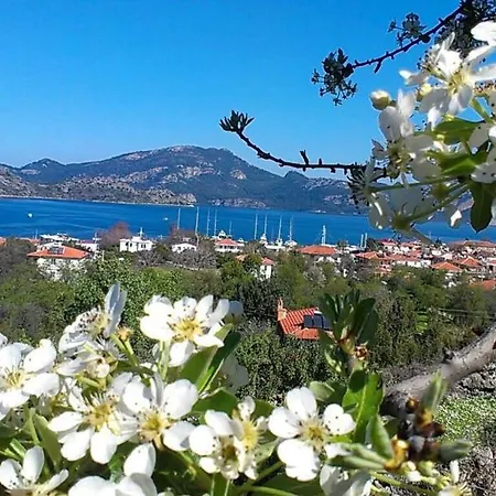 Mavi Deniz Selimiye Гостевой дом